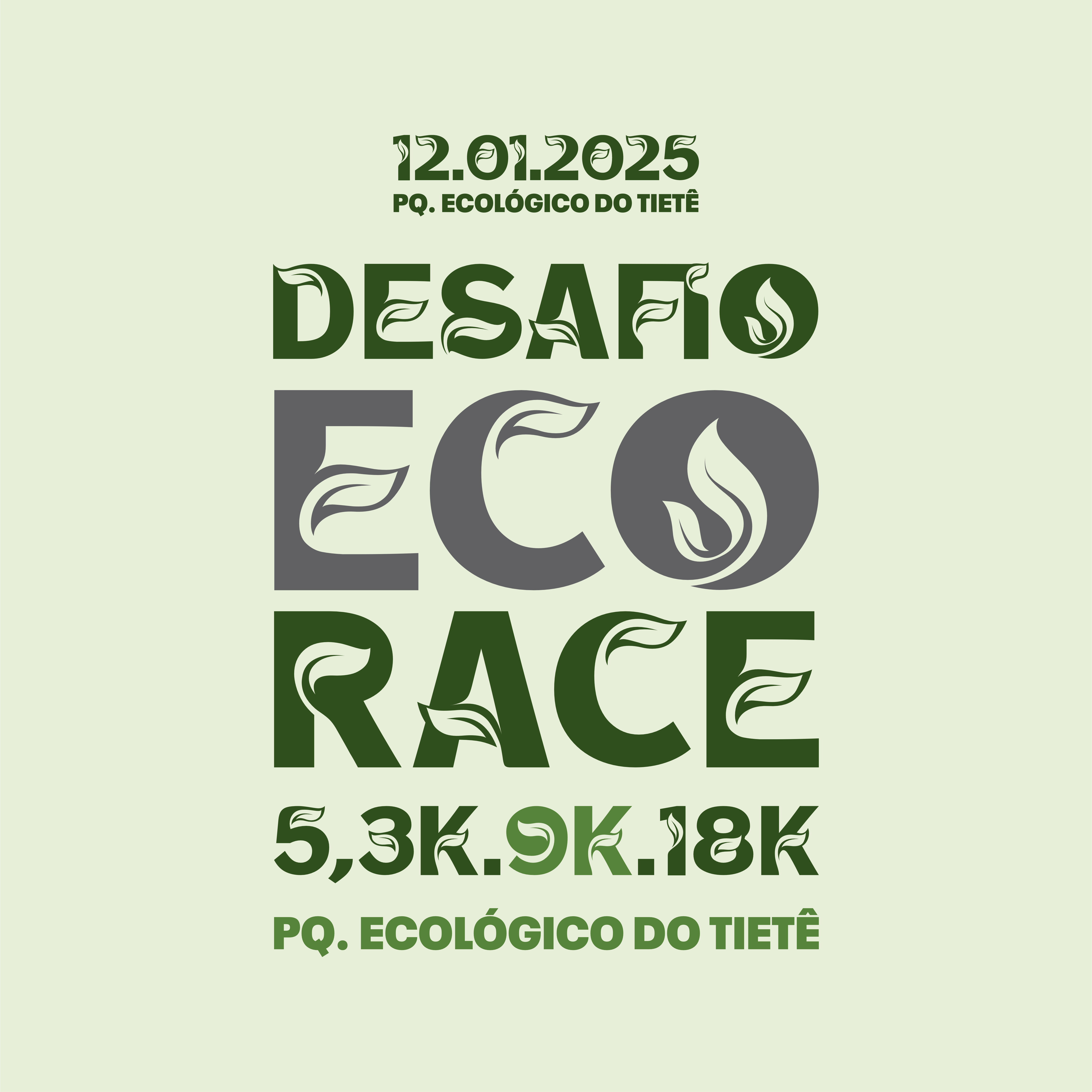 DESAFIO ECO RACE